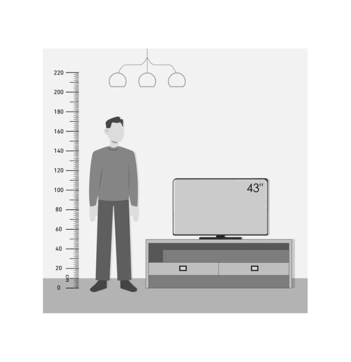 2T-C43DG6EX 2T-C43DG6EX